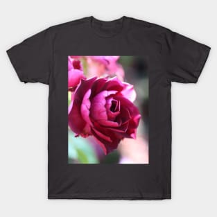 Red Roses T-Shirt